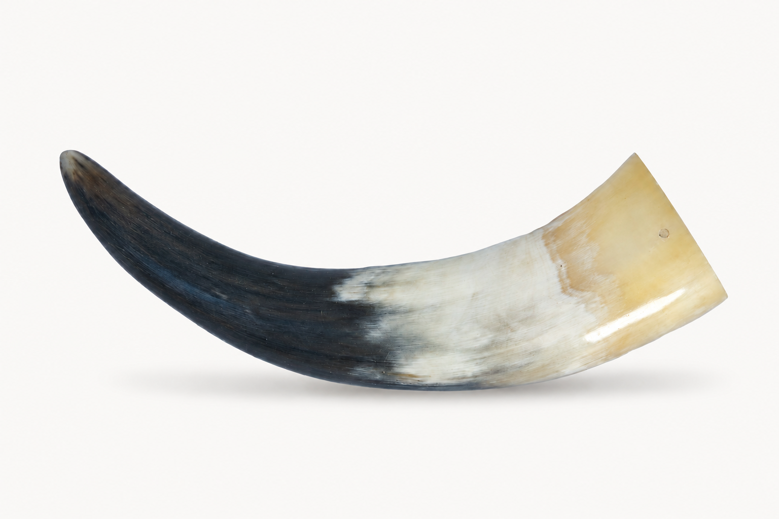 Gebogenes Horn mit dunklem und hellem Farbverlauf
